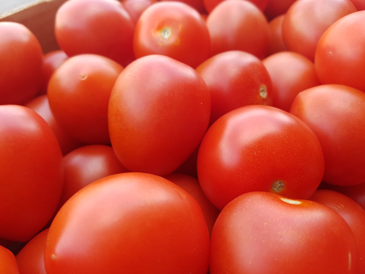 FrutasMora's tweet photo. #TomatesPera rojos y con sabor para #gazpachos y #salmorejos.
¡En #FrutasMoraEspartinas!
#Creciendojuntos #Sevilla #TDSGastro https://t.co/eCNh0KGSv4