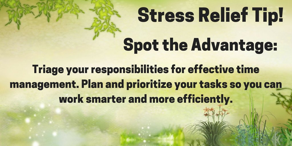 CabriniU_CSS's tweet image. 