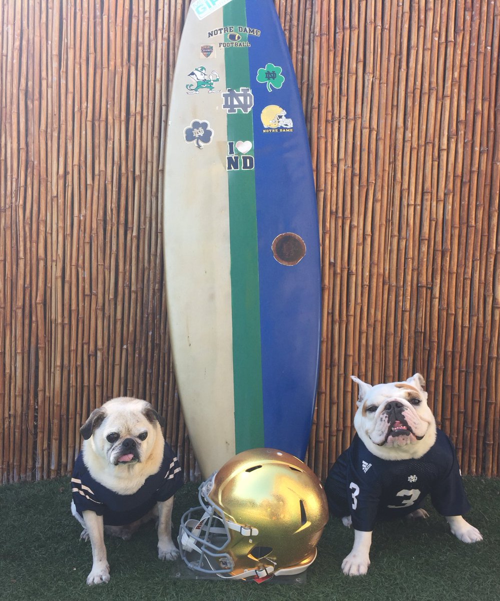 1 day until kickoff 🏈and 4 hours until the new 👚 shirt #bluegoldgame #springgame #ndgame #BulldogsAreBeautifulDay #FootballShirtFriday