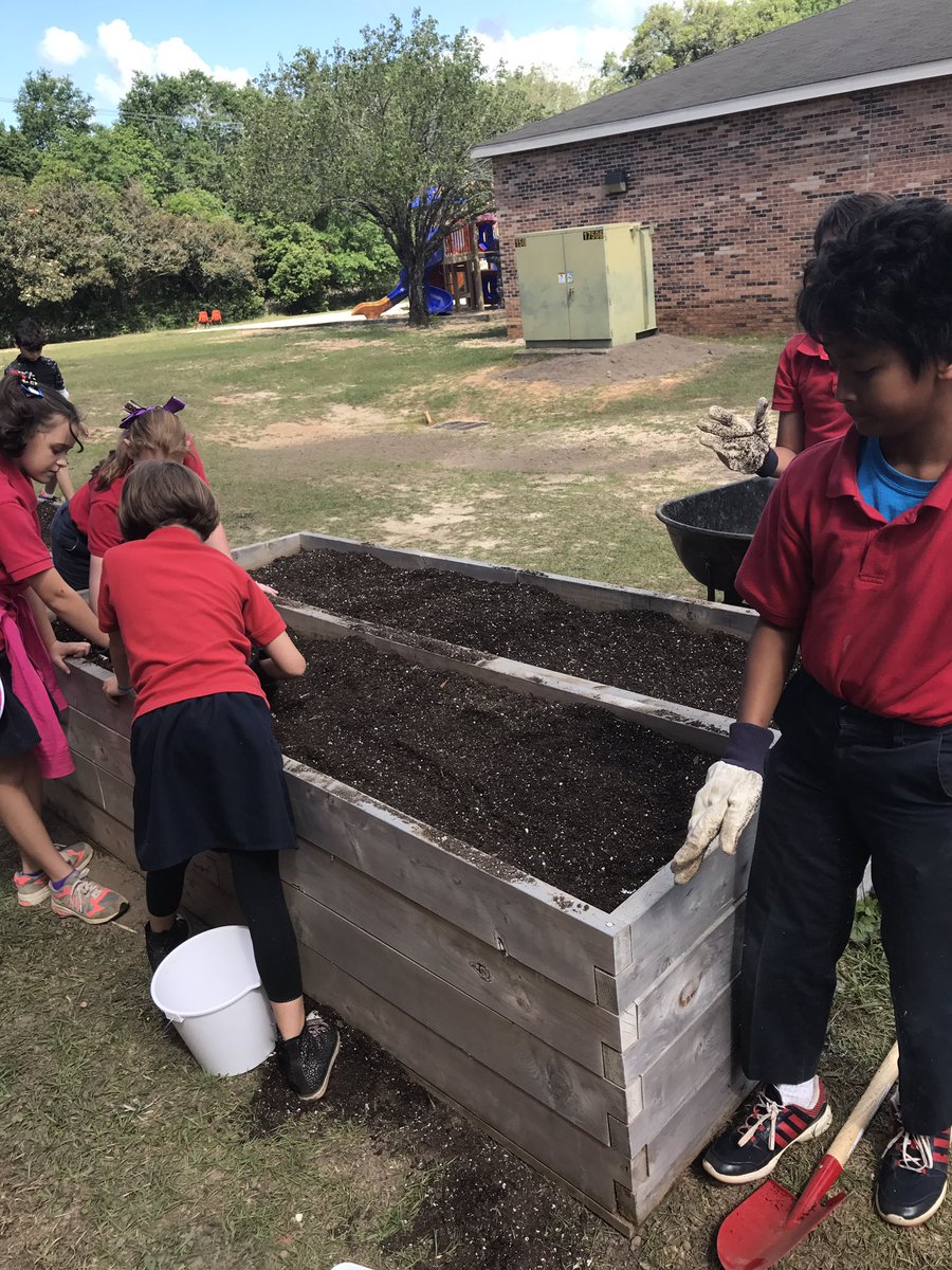 4thDixon's tweet photo. Gardening at Dixon! 4th grade loves making Dixon beautiful! @GlendaWarren15 @Michellermcnew https://t.co/IsMLUiajuM