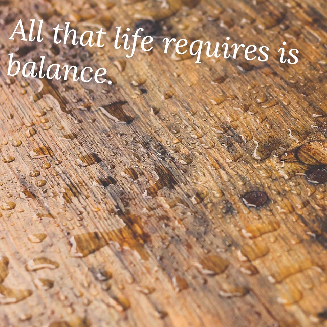 jenlbg's tweet photo. All that life requires is balance. https://t.co/x7qKsQxxh5