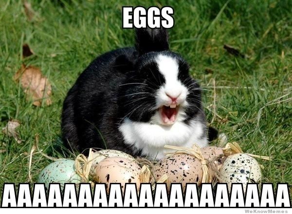 worstfailever's tweet photo. Bunny Eggs | https://t.co/Orf92G5SDN | #Amazing #Best #BestEVER #Funny #WIN https://t.co/EZ5FnOLdwZ