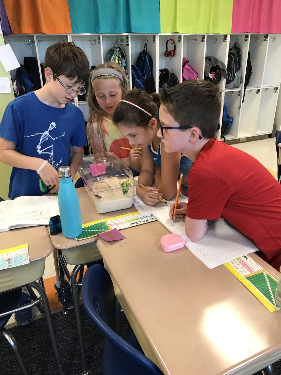 Mrs Nowaks 4th Grade tweet media