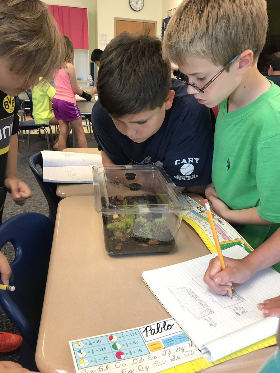 Mrs Nowaks 4th Grade tweet media