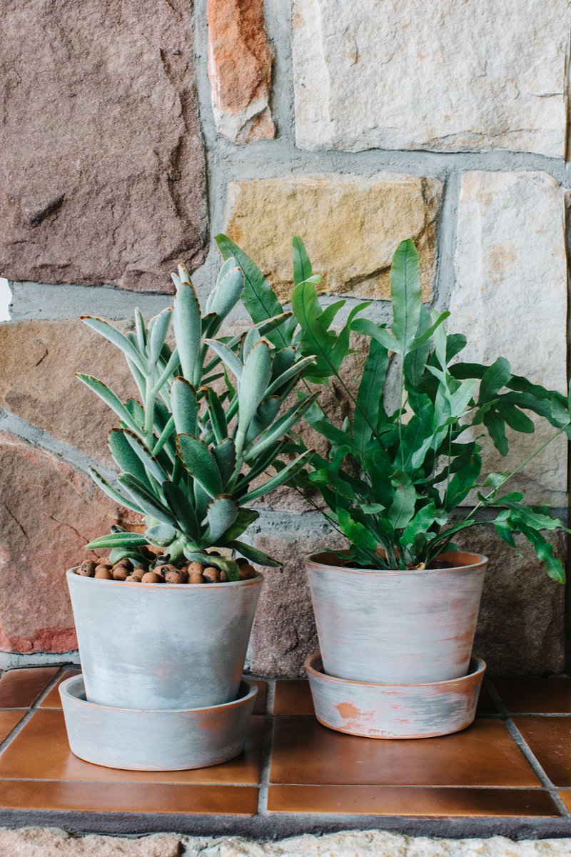 RustBeltLife's tweet photo. Time to pot this houseplants in bigger pots.  We have a way to upgrade those great IKEA pots on the blog today. https://t.co/WUpZ0aq1bz https://t.co/W8Ubixjv1a