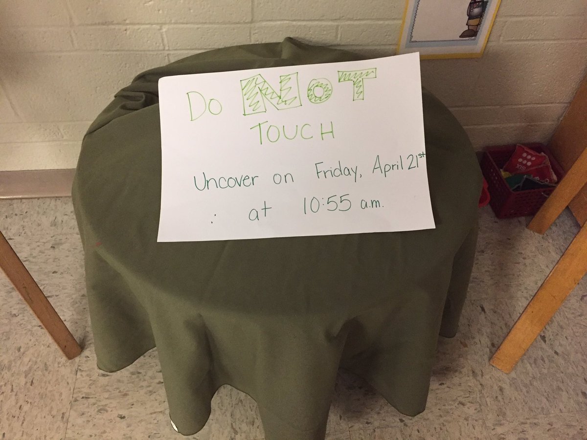 SchellerKinders's tweet image. Here it is! We are the proud owners of some (about 15) beautiful ladybug larvae! #ilssc #TeachLikeAPirate #firstgrade #ClassPet