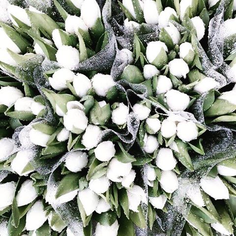 mf_obsession's tweet image. #ФайнисФолловитКаждого #МегаИнстаСос

Кому случайную песню и картинку? :) Кину всем, кто поставит ❤️ в ближайшие 30 минут 🙃