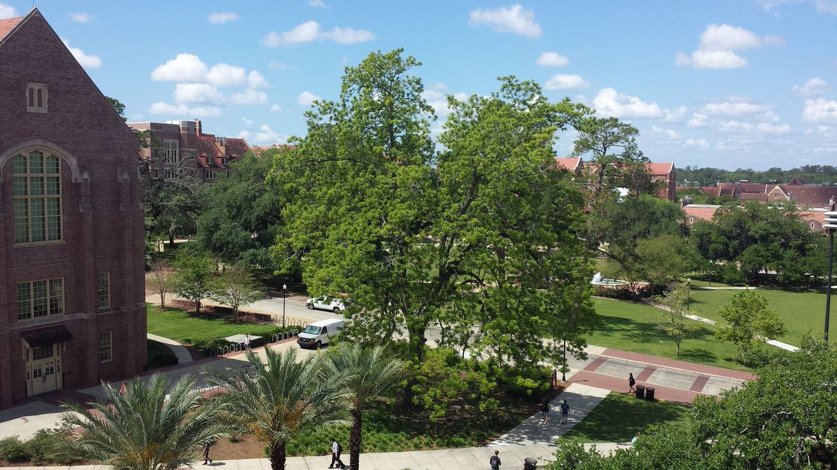 CoachMattC's tweet photo. Beautiful campus. Perfect weather for #FSUPREVIEW #FSU2017 https://t.co/GReQCLv4v1