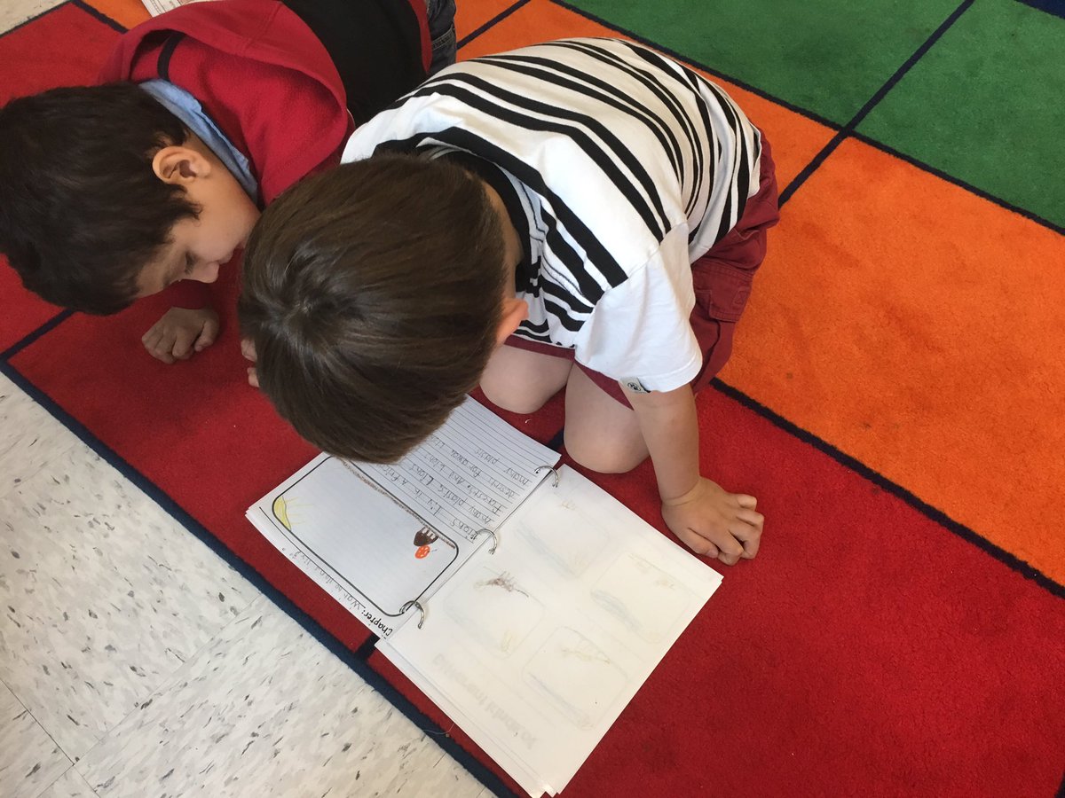 GRES_FirstGrade's tweet photo. We are animal experts! These first graders we so proud of their all about books. Now on display in our classroom library! https://t.co/q90QToOGDG