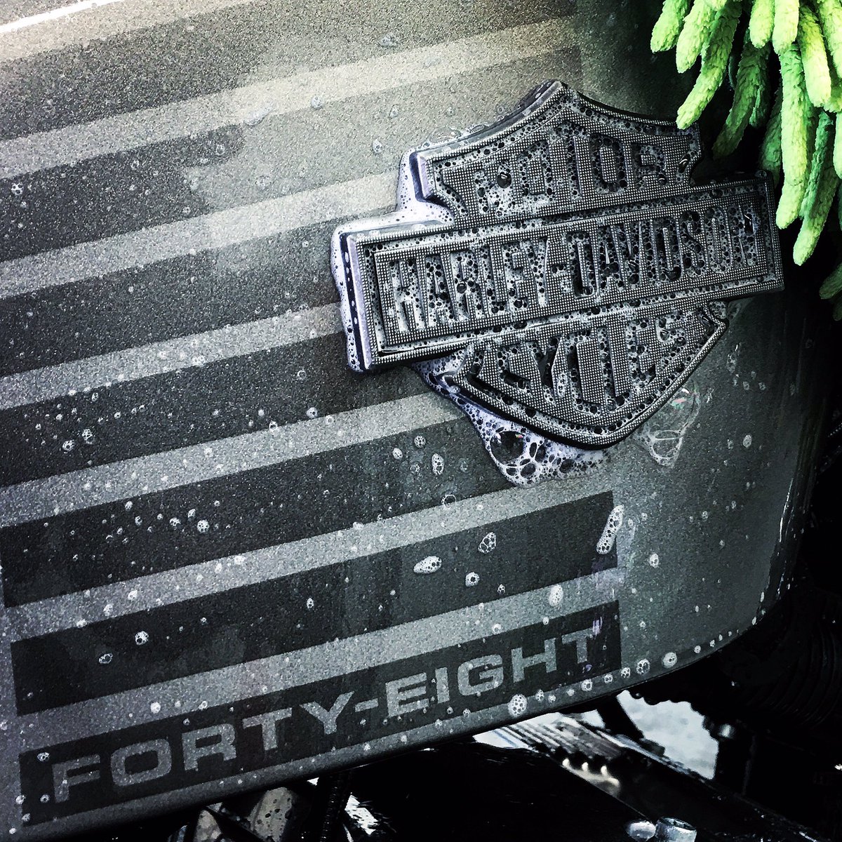 illinoisHD3370's tweet photo. Even the wicked like to be washed! #harleydavidson #sportster #fortyeight #porterlife https://t.co/FR1K5NHpHl