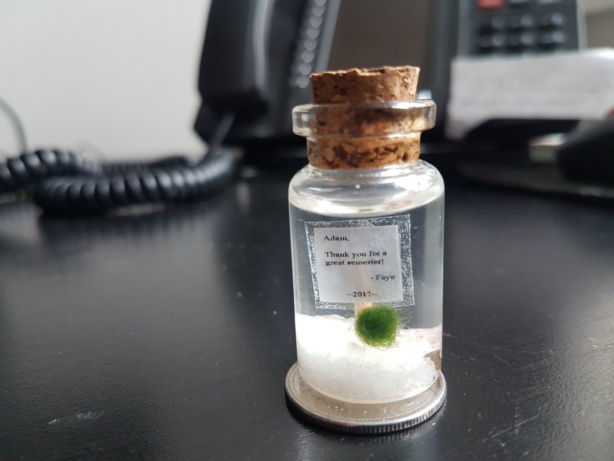 adamTford's tweet image. Beautiful aquatic nano-cosm gift from one of my ecology students. I love being a teacher! ($0.25 CAD for scale). #TinyNature