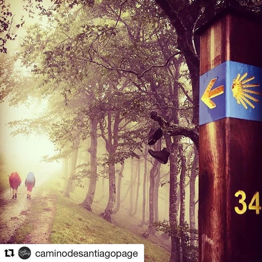 InstagramELE's tweet photo. #InstagramELE #camino ~ Me encantaría algún día hacer el Camino de Santiago. ¿Alguien lo ha hecho? #ceaspring #cea… https://t.co/AR7MfRLliK https://t.co/zjUqTzoUwM