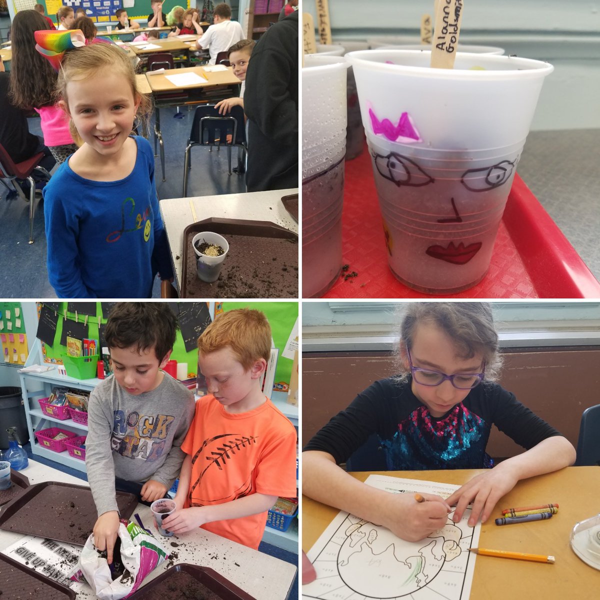 Mrs_Rafter's tweet photo. Celebrating #EarthDay #planting #practicingmathskills can't wait to see our grass grow into hair! @OaksSchool3 https://t.co/Kph4k5fxnw