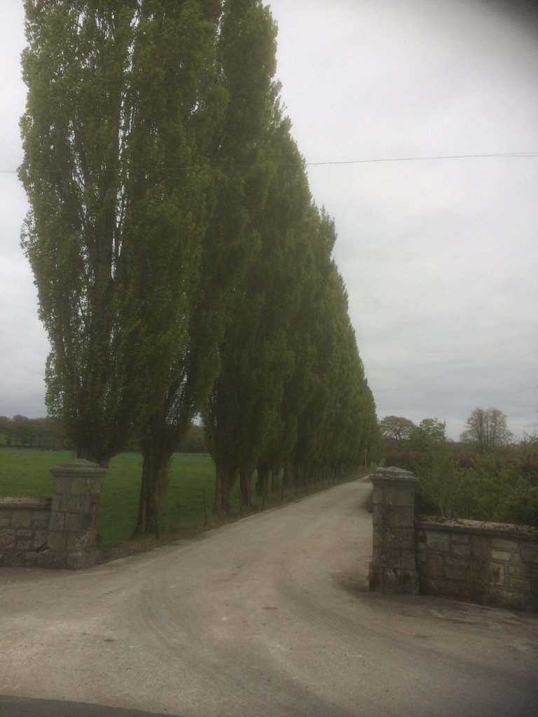 Neil Walker tweet media