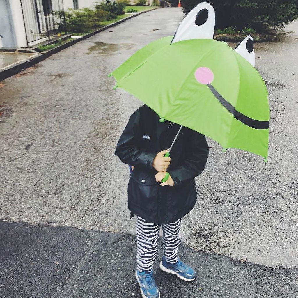 MaMeMimaNY's tweet photo. Rainy mornings are cheerier with this little froggy 🐸 #rainraingoaway #aprilshowersbringmayflowers #rainymornings … https://t.co/yw0gy7EOK3 https://t.co/5eZLmGmahz