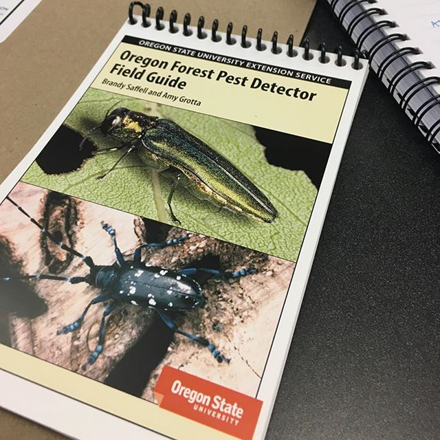 Samara_PDX's tweet photo. Detector. On the case. #ofpd #edrr #prevention #detectortools #invasivespecies #samarapdx https://t.co/VAI9vU8koJ