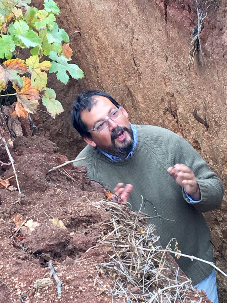 kattkatt15's tweet photo. From down a hole in the vineyard, @pedroparrachile explaining how the iron in the soil adds to minerality in his wine https://t.co/nB9CF2Yq7w