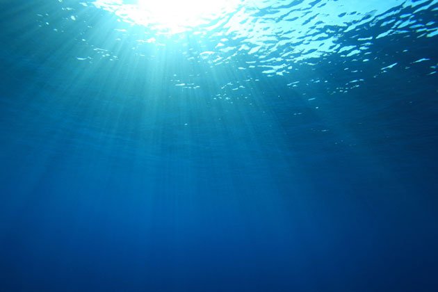 Morrison Mentors tweet media