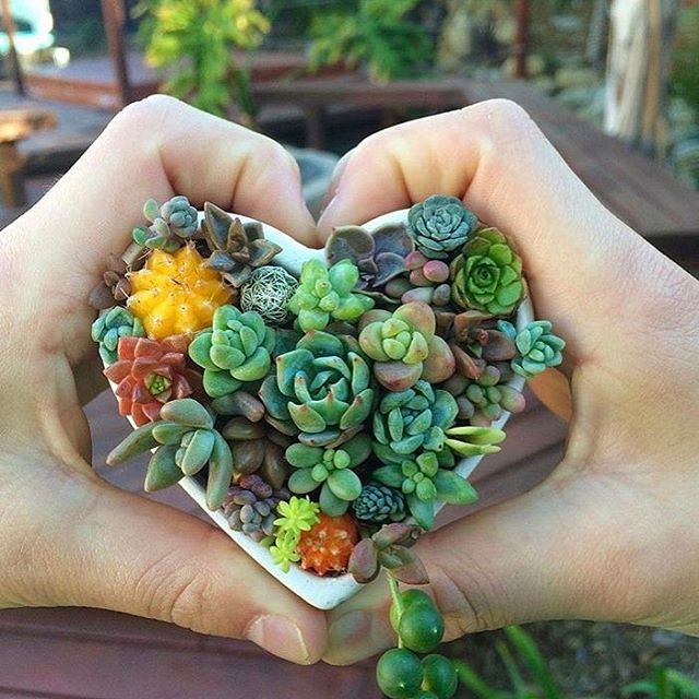 deynerys_66's tweet image. взаимная.
первая не анфл.
анфл=анфл.
#ФайнисФолловитКаждого