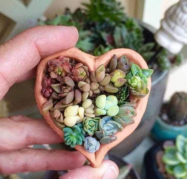 deynerys_66's tweet image. взаимная.
первая не анфл.
анфл=анфл.
#ФайнисФолловитКаждого