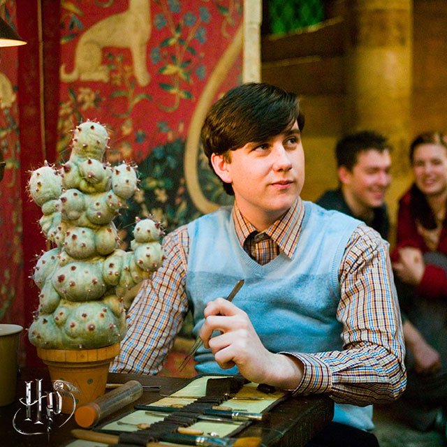 ネビル ロングボトム役俳優 マシュー ルイスの今現在 インスタやマッチョ画像 ポッターポータル Potterportal