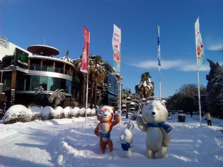 Sochi Atlas tweet media