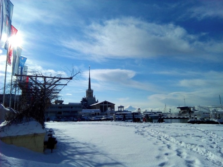 Sochi Atlas tweet media