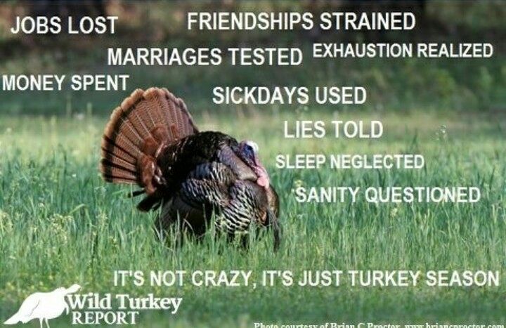 mackspw's tweet photo. A good kind of crazy. https://t.co/gXVOQ9X6IZ