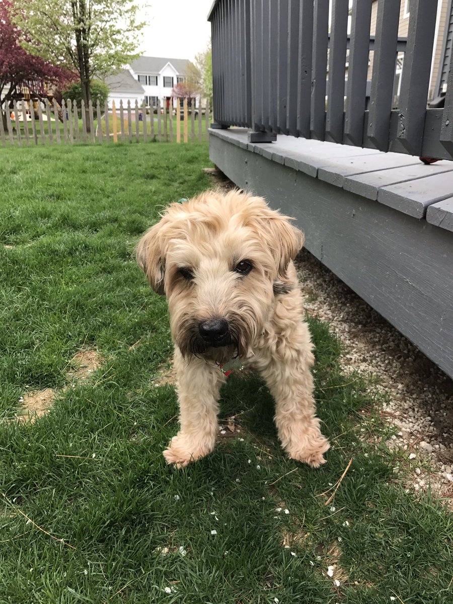 Miss Wrigley 15 years young...