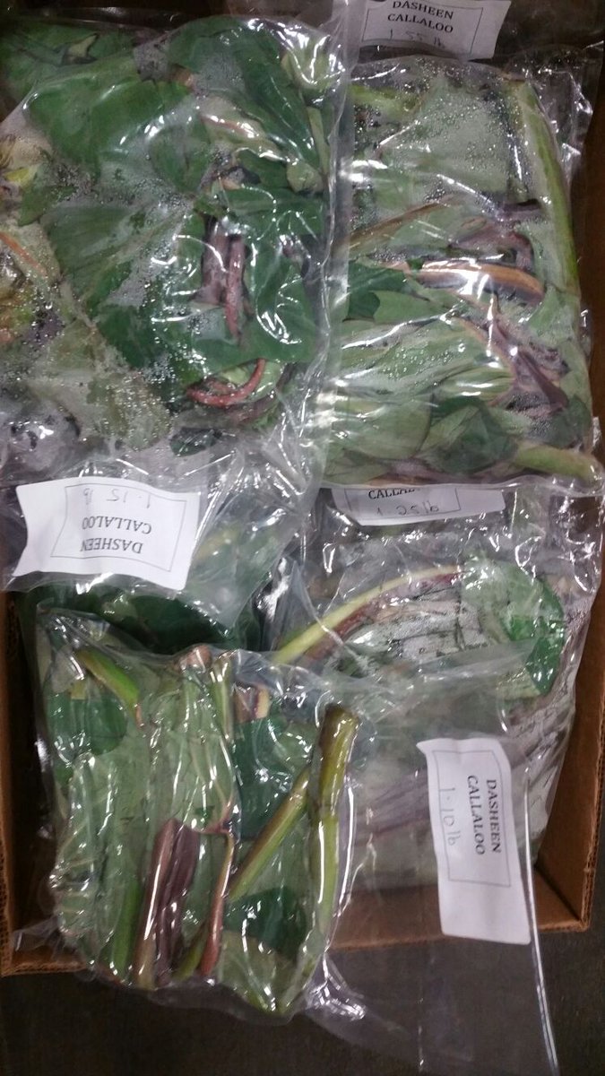 Saboto Caesar tweet media