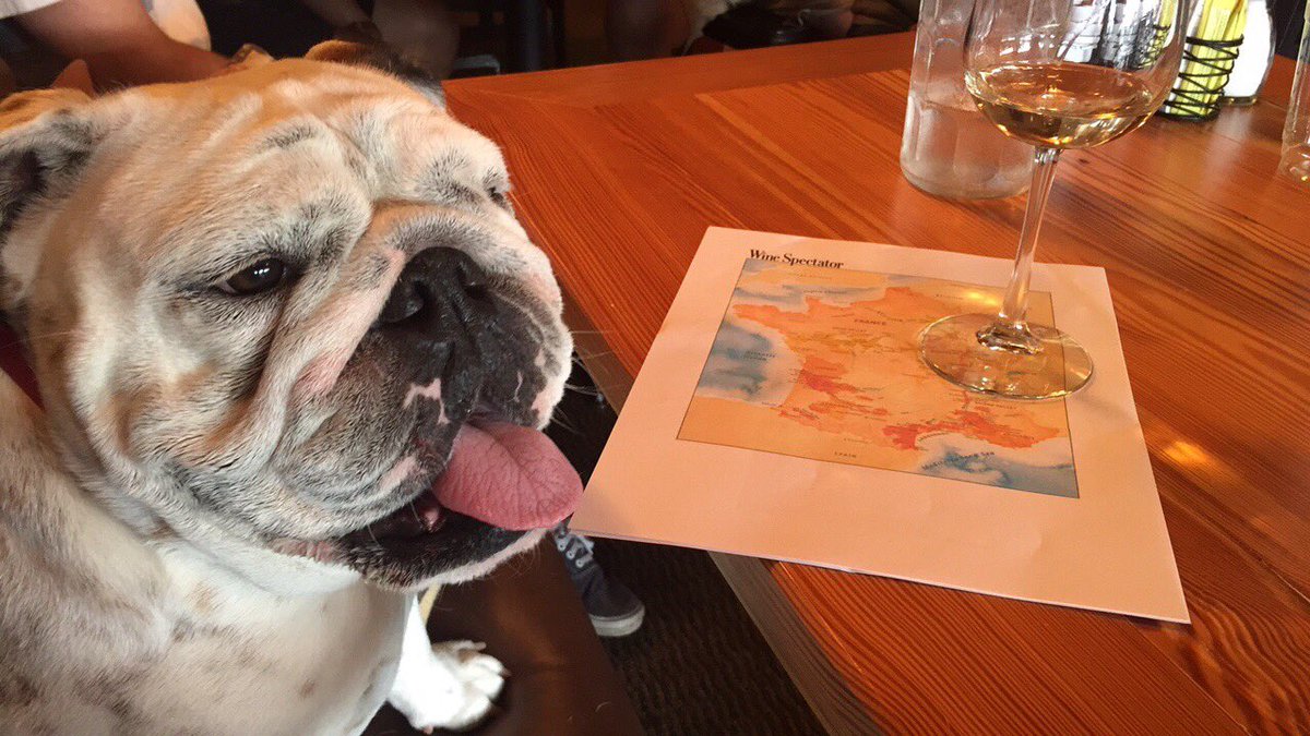 Mabel at wine class.  Not a fan of Sancerre.