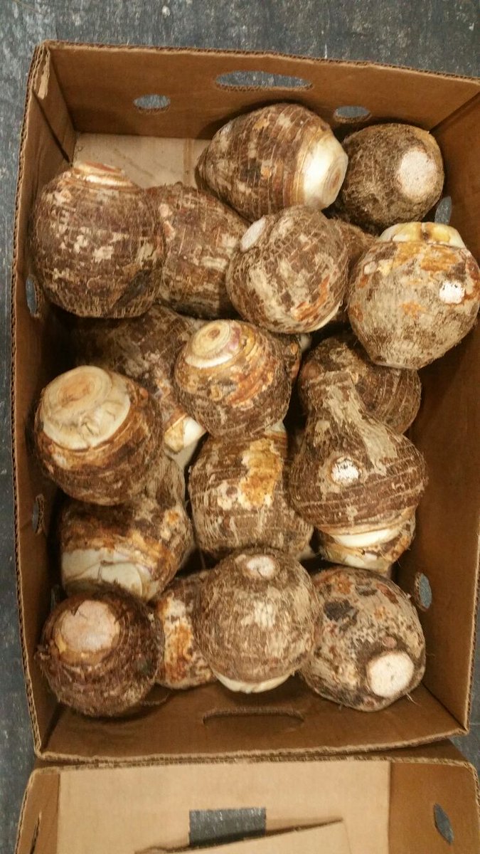 Saboto Caesar tweet media