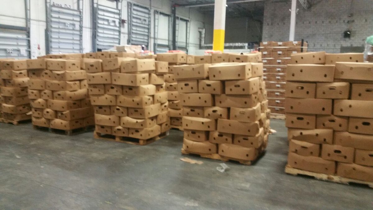 Saboto Caesar tweet media