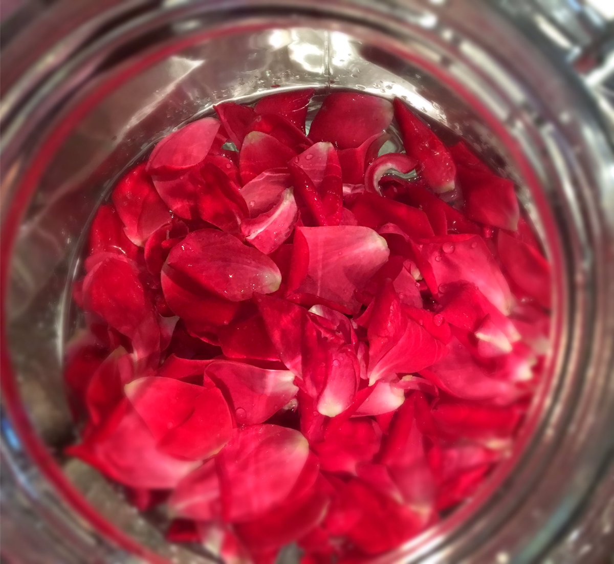 Rose infused gin.  Spring has sprung and brought us boozy flowers.