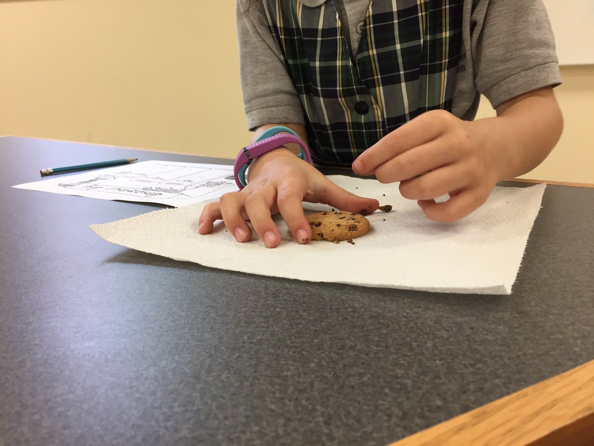SchellerKinders's tweet image. Working hard on excavating Dino bones today in #firstgrade #STEM day two! Fun time with @deniseferber 's kiddos today. #ilssc