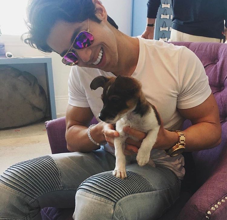 I like dogs more than I like people🐶