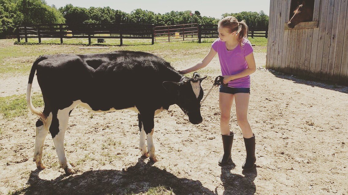 The beef show this year at the fair is June 8th starting at 5 PM outside in the beef arena! 🐄 #floydcounty4hfair