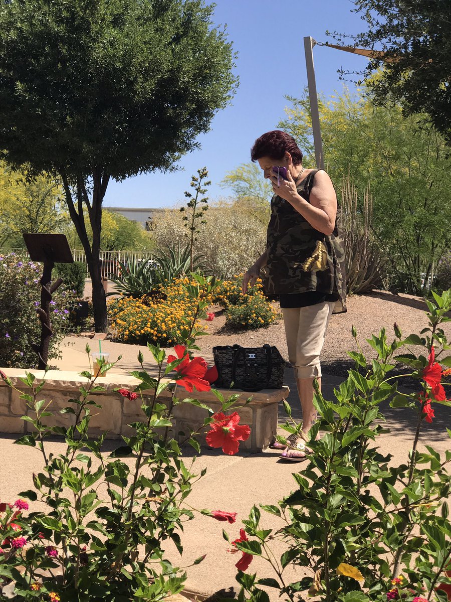 numbertwohag's tweet photo. Spot The Butterfly 🦋 https://t.co/pZ3KuZr30L