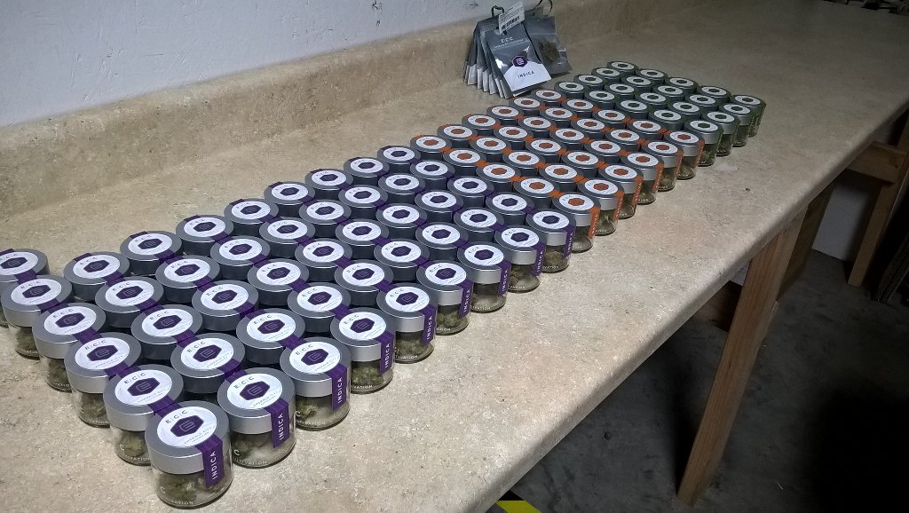 ECCthc's tweet photo. Order heading out to Cannabis City! Florida Lemons, Presidential Kush, and Chernobyl Flower. https://t.co/yzLFdlpYmL