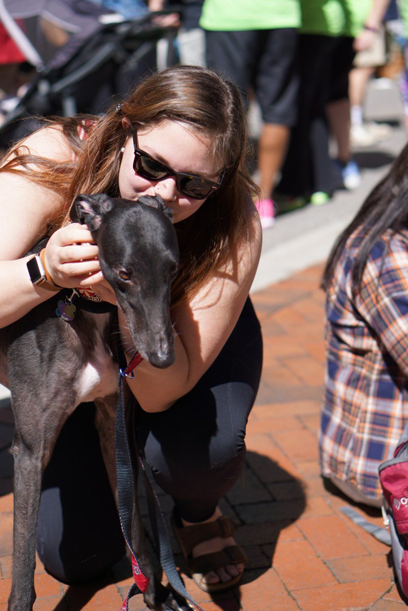 CitizensofSC's tweet image. Citizens of Soda City :  Elisabeth of Elisaire Craft Co. citizensofsodacity.com/2017/04/21/cit…