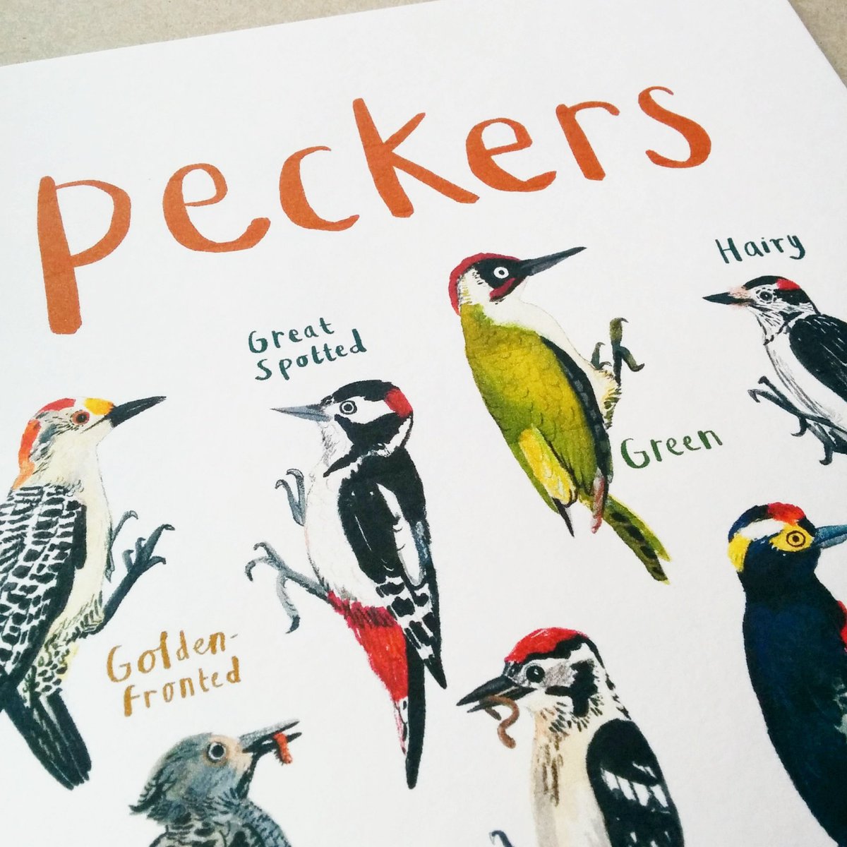 Sarah Edmonds (@sarahedmondsart) on Twitter photo A peek at some peckers in progress. This new design will be on show at the #btnetsyAOH exhibition <a href="/Junkyard_Dogs3/">Junkyard Dogs</a> from next Fri! A peek at some peckers in progress. This new design will be on show at the #btnetsyAOH exhibition <a href="/Junkyard_Dogs3/">Junkyard Dogs</a> from next Fri!
