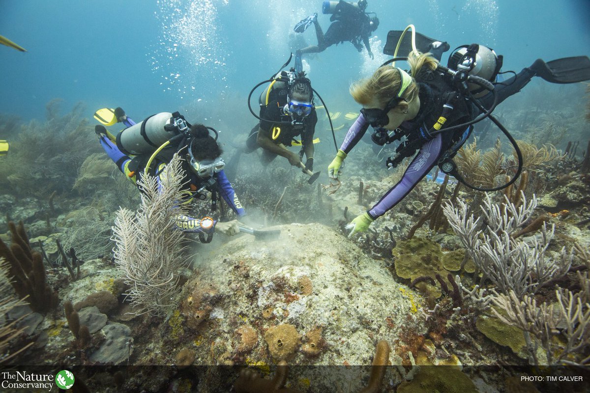 nature_org's tweet image. 600 Conservancy scientists work around the world to address issues like climate change, clean water &amp;amp; resilient cities. #ScienceMarch