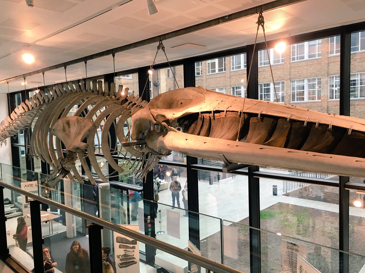 NatSciNMS's tweet photo. #TeamInvert thoroughly enjoyed #NatSCA2017 @ZoologyMuseum. Many thanks to @Nat_SCA @MigratoryMatt @nautilusnat for a great conference! 🐋 https://t.co/aH2NtFvYXU