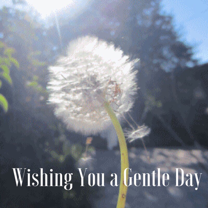 MountainValleyCenter (@mtnvalleycenter) on Twitter photo 