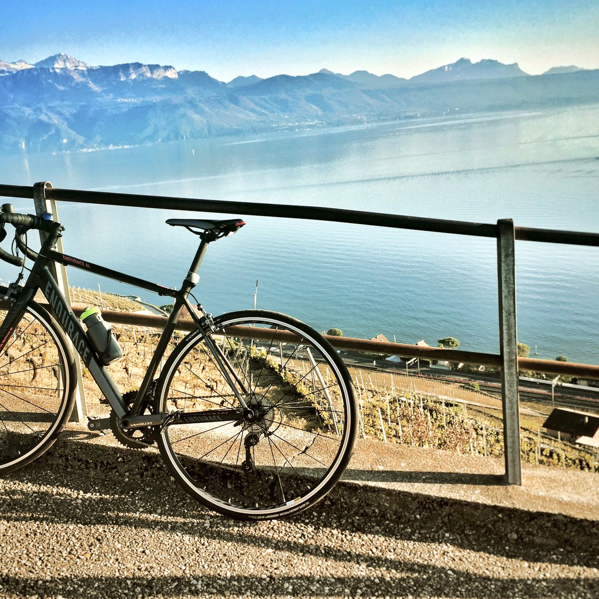 swissbiking's tweet photo. Happy Friday ride! A moment to enjoy #ridewithaview #lavaux https://t.co/g0qdYwUtLp