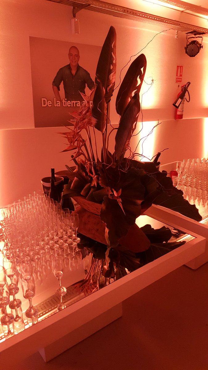 OliPao1's tweet photo. Lanzamiento programación canal 4 Montecarlo Televisión @pablofvega6 @AmorMioUY https://t.co/yc1qEeBJMn
