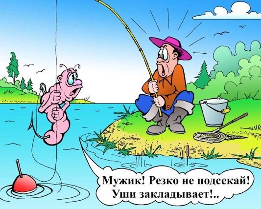 remventru's tweet photo. https://t.co/tRsSzQ8T6n