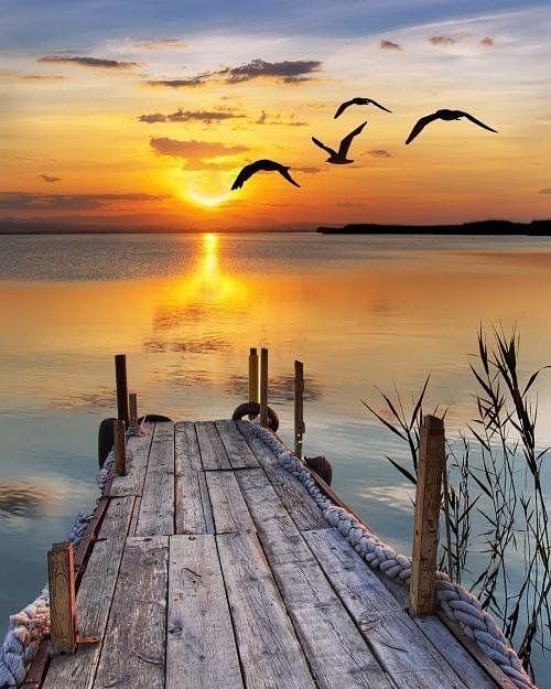 I've taken thousands of false starts before beginning to run