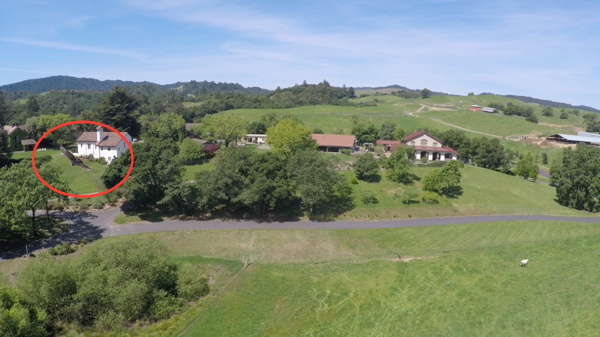 Glad the curious redtail hawk was just curious. <a href="/TheBishopsRanch/">The Bishop's Ranch</a>