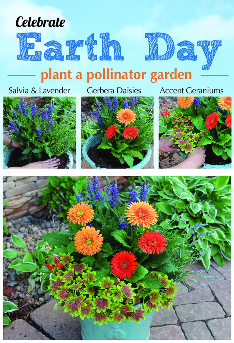 MetrolinaGHS's tweet photo. What better way to celebrate Earth day than to plant a pollinator garden! #happyearthday #forthepollinators #getoutandgrow https://t.co/Yhym3ew2dn
